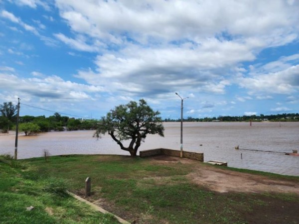 Informe de situación por la creciente del Río Uruguay (19/12/2023 - 17:00 horas)