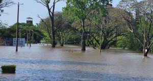 Informe de situación por la creciente del Río Uruguay (25/11/2023 - 17:30 horas)