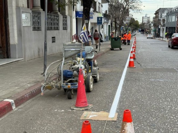 Intendencia de Salto realiza señalización horizontal en calle Artigas