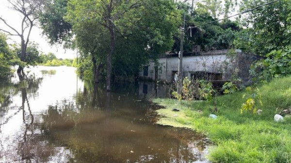 Informe de situación por la creciente del Río Uruguay (22/11/2023 - 18:00 horas)