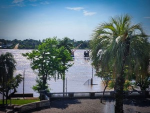 Informe de situación por la creciente del Río Uruguay (10/11/2023 - 18:00 horas)