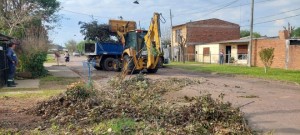 Levantamiento de podas y basura acumulada: Se retiraron 101 viajes de camiones de la Zona 3