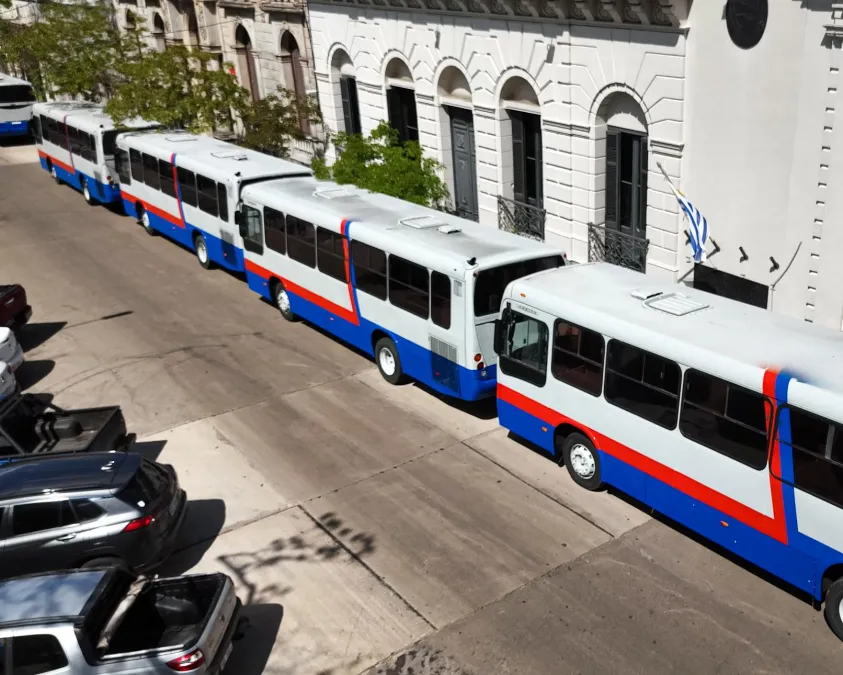 omnibus