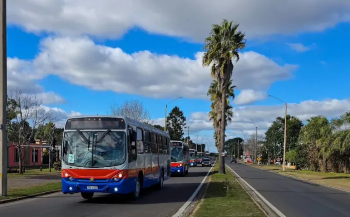 omnibus