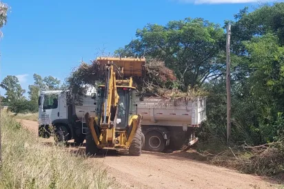 recolección