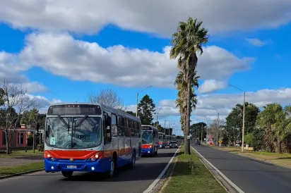 omnibus
